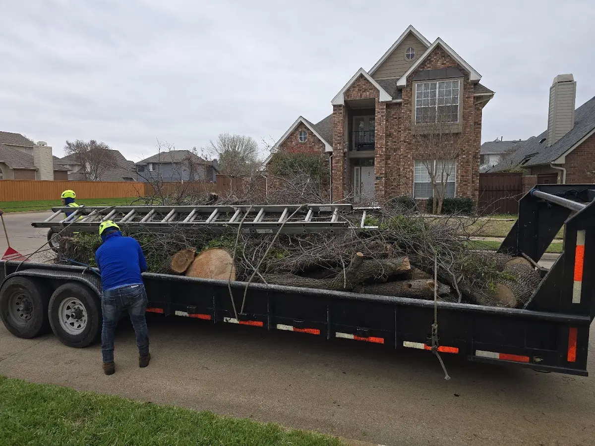 Expert Tree Fertilization with proper safety equipment in Gilford